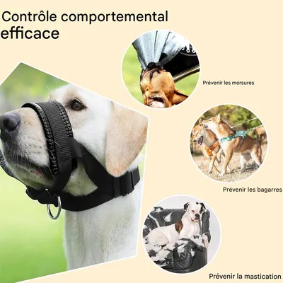 FurryFusion Muselière pour chien
