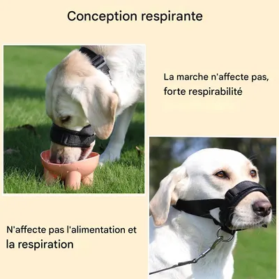 FurryFusion Muselière pour chien