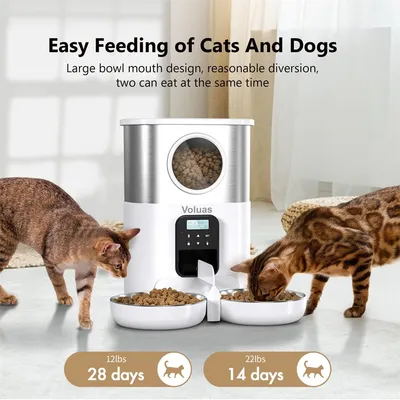 IntiMeg Distributeur de croquettes automatique pour deux chats