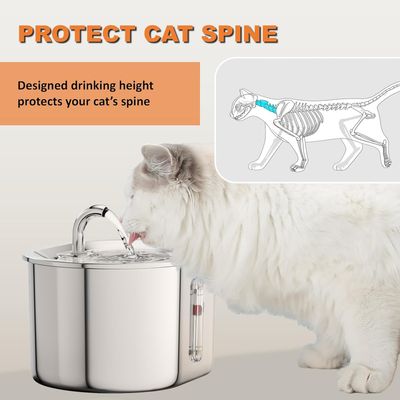 PurrfectFun Fontaine à eau pour chat avec fenêtre de niveau d'eau