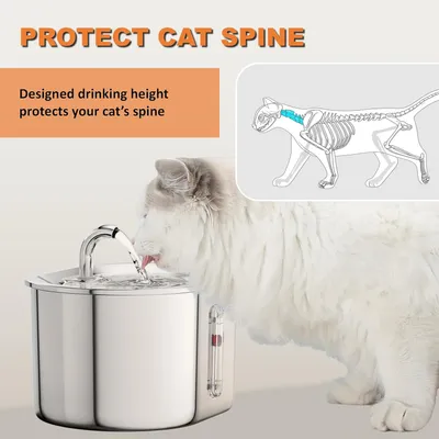 PurrfectFun Fontaine à eau pour chat avec fenêtre de niveau d'eau