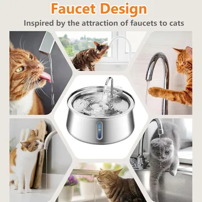 PurrfectFun Fontaine à Eau pour Chat et Chien - Acier Inoxydable, 4 L