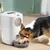 IntiMeg Distributeur de croquettes automatique pour chat IntiMeg Distributeur de croquettes automatique pour chat