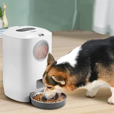 IntiMeg Distributeur de croquettes automatique pour chat IntiMeg Distributeur de croquettes automatique pour chat