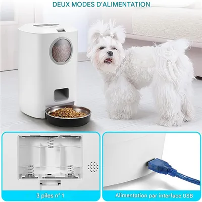 IntiMeg Distributeur de croquettes automatique pour chat IntiMeg Distributeur de croquettes automatique pour chat