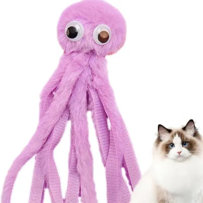 FurryFusion Jouets à mâcher pour Chats d'intérieur