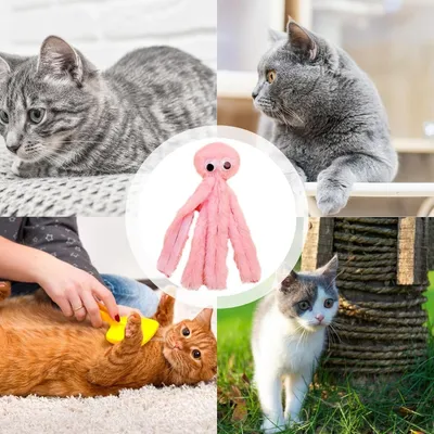 FurryFusion Jouets à mâcher pour Chats d'intérieur