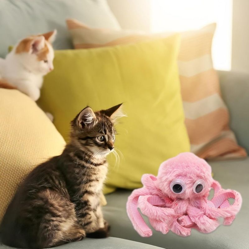 FurryFusion Jouets à mâcher pour Chats d'intérieur