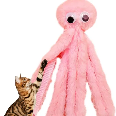 FurryFusion Jouets à mâcher pour Chats d'intérieur