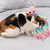 FurryFusion Jouets à mâcher pour Chats d'intérieur