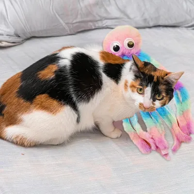 FurryFusion Jouets à mâcher pour Chats d'intérieur