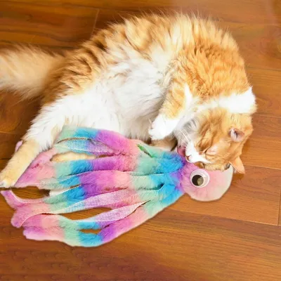 FurryFusion Jouets à mâcher pour Chats d'intérieur