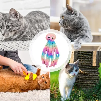 FurryFusion Jouets à mâcher pour Chats d'intérieur
