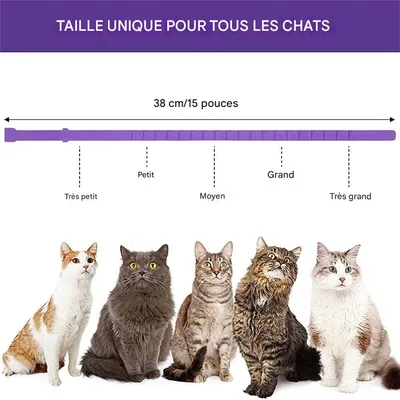 FurryFusion Collier apaisant pour chat