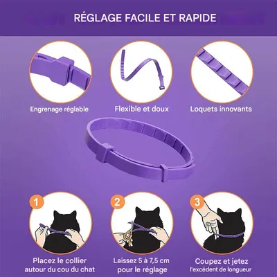 FurryFusion Collier apaisant pour chat