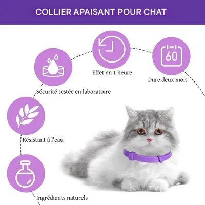 FurryFusion Collier apaisant pour chat