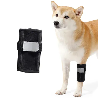 FurryFusion Attelle Genou pour Chien FurryFusion Attelle Genou pour Chien