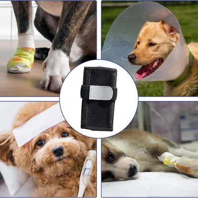 FurryFusion Attelle Genou pour Chien