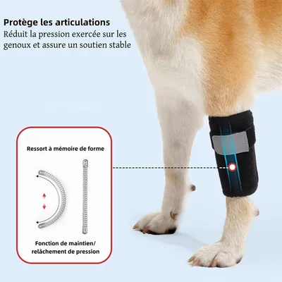 FurryFusion Attelle Genou pour Chien