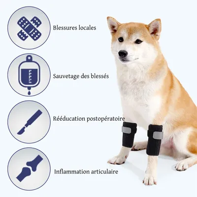 FurryFusion Attelle Genou pour Chien