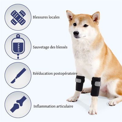 FurryFusion Attelle Genou pour Chien