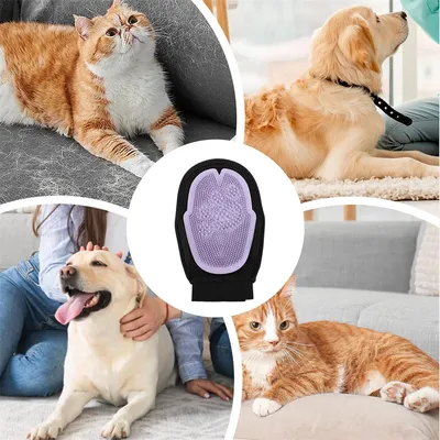 FurryFusion Gants de toilettage pour chien