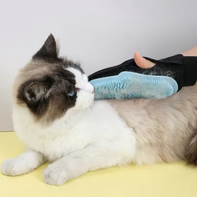 FurryFusion Gants de toilettage pour chien