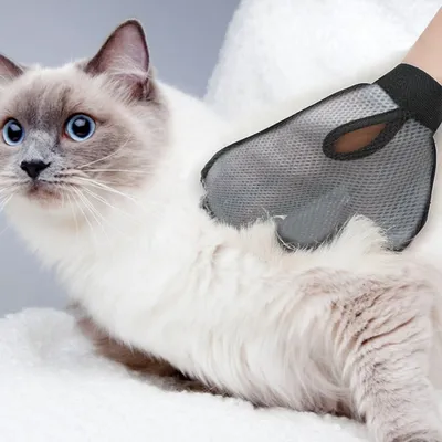 FurryFusion Gants de toilettage pour chats et chiens