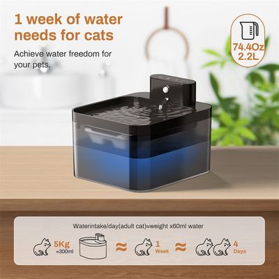 Petopia Fontaine à eau sans fil pour chat