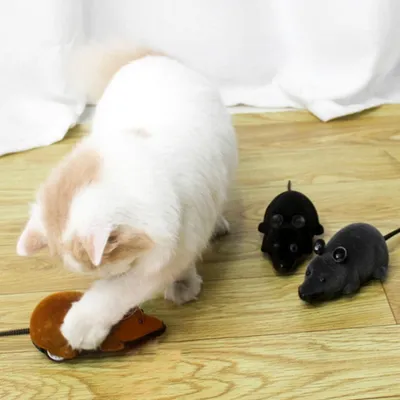 FurryFusion simulation à distance rat chat jouet