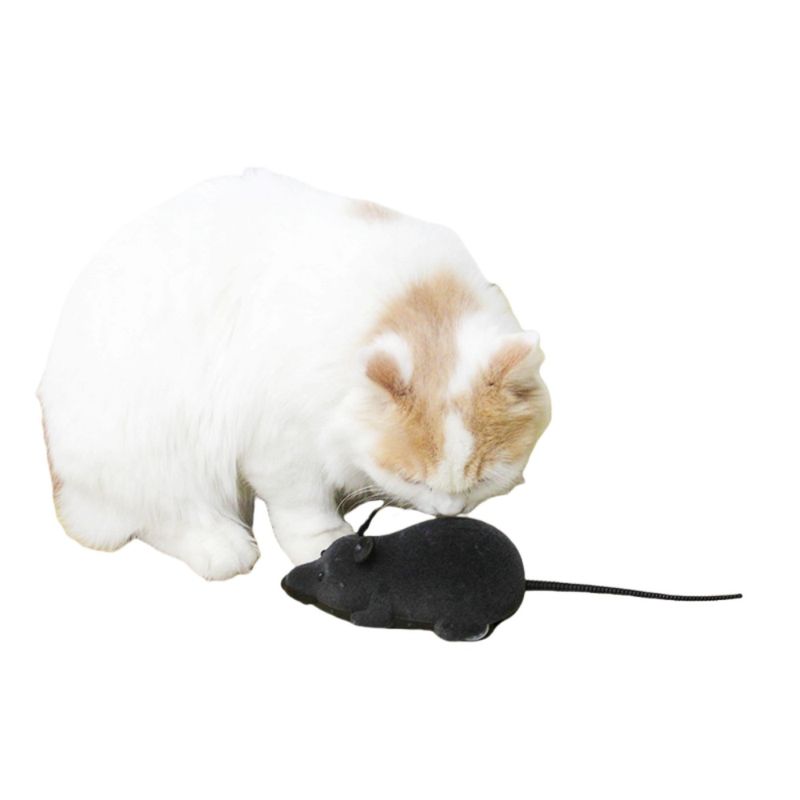 FurryFusion simulation à distance rat chat jouet