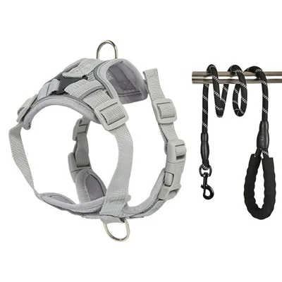 FurryFusion Harnais pour chat