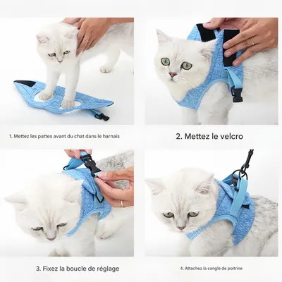 FurryFusion Harnais de traction avec corde pour chat