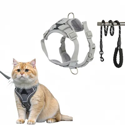 FurryFusion Harnais pour chat