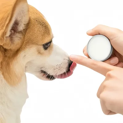 FurryFusion Baume nasal pour animaux