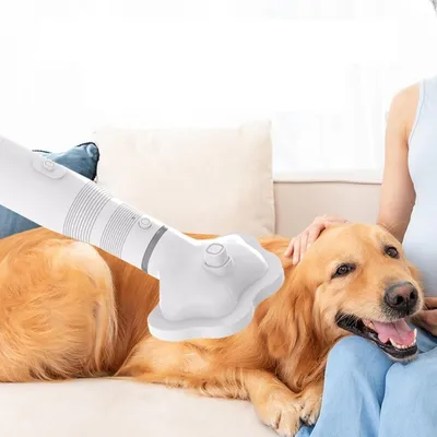 UAMLY Peigne à air chaud pour chien