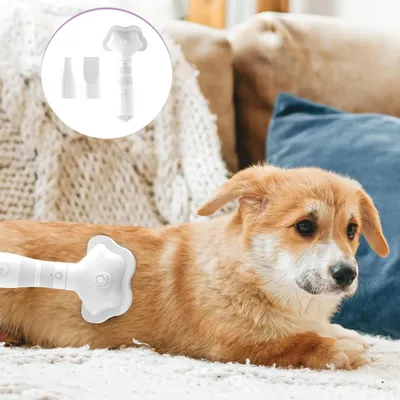 UAMLY Peigne à air chaud pour chien