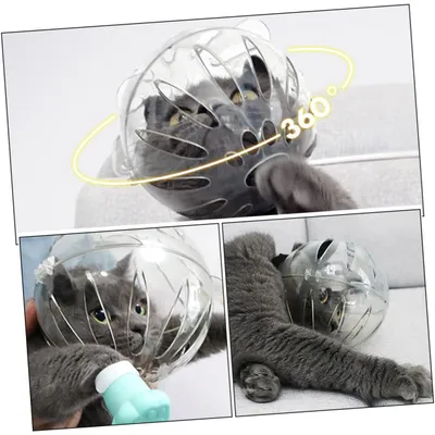 UAMLY Muselière bulle et protège-pattes pour chat
