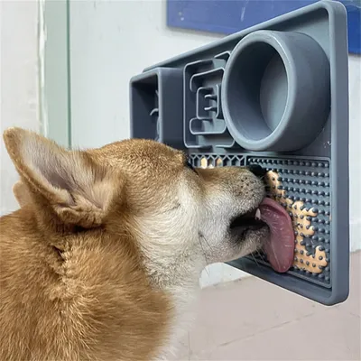 IntiMeg Tapis anti - fuite en silicone pour chien