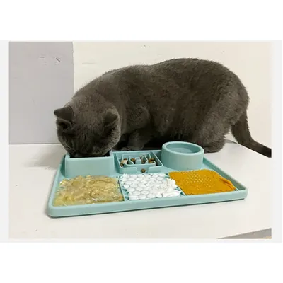 IntiMeg Tapis anti - fuite en silicone pour chien