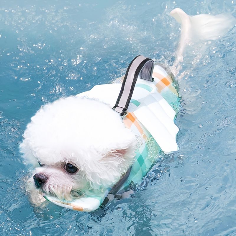 FurryFusion Gilet de sauvetage pour chien