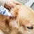 FurryFusion Liquide pour nettoyer les oreilles des animaux de compagnie