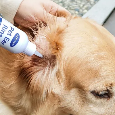 FurryFusion Liquide pour nettoyer les oreilles des animaux de compagnie