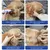 FurryFusion Liquide pour nettoyer les oreilles des animaux de compagnie