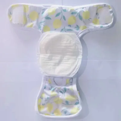 UAMLY Couches jetables pour chiens