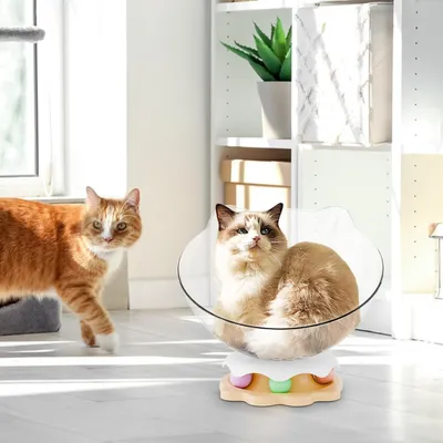 UAMLY Lit transparent pour chat