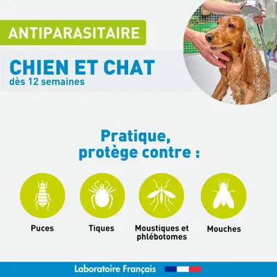 Shampooing antiparasitaire insectifuge