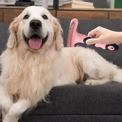 PurrfectFun Rastrillo et Brosse d'Entretien pour Animaux de Compagnie