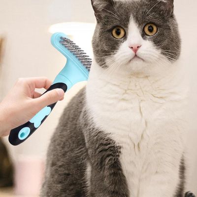 PurrfectFun Rastrillo et Brosse d'Entretien pour Animaux de Compagnie