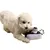 FurryFusion Jouet à mâcher en peluche caméra pour chien